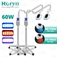 dental whitening equipment
